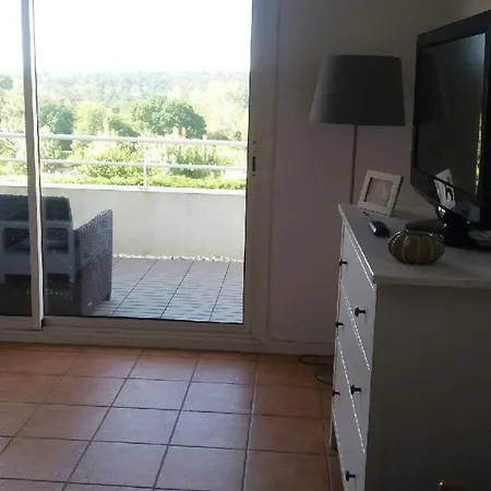 Apartment La Colline Bleue *
